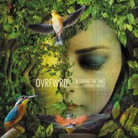 Ovrfwrd - Blurring the Lines (A Democracy Manifest)