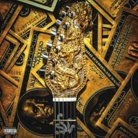 Melly Mike - Young Black & Rich (Rock Remix)