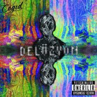 Ceg - Del&uuml;zyon