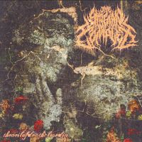 The Stygian Complex - The Veil of Death Closed In