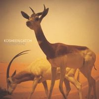 Kosheen - Catch