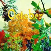 Sole and The Skyrider Band - October