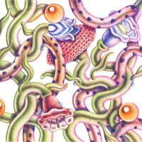 Delicatoni - E Se Quando