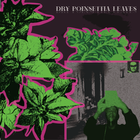 Dry Poinsettia Leaves - Dry Poinsettia Leaves