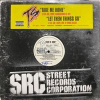Terror Squad - Take Me Home