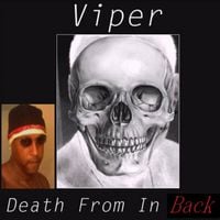 Viper - Death From in Back