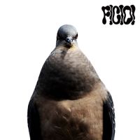 F!C!O! - BIRDERS