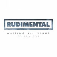 Rudimental - Waiting All Night