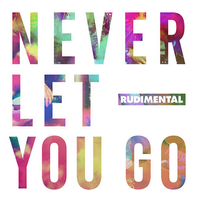 Rudimental - Never Let You Go