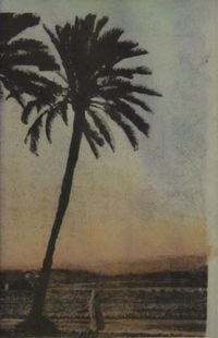 Sun City Girls - The Palm Leaves of Victory