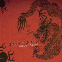 Gov't Mule - Mulennium
