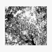 fitterkarma - Pambihira