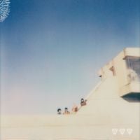 TamTam - Where They Dwell