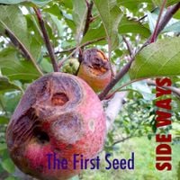 The First Seed - Side Ways