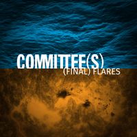 Committee(s) - (Final) Flares