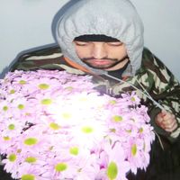 Souly - Chrysanthemen