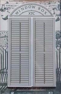 XTC - Window Box