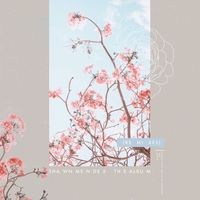 Shawn Mendes - The Album (Remixes)