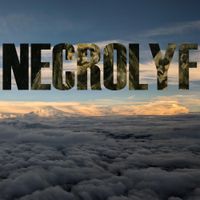 Model Home - NECROLYF