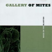 Gallery of Mites - Bugs On The Bluefish
