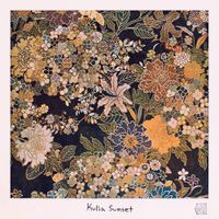 Orchid Mantis - Kulla Sunset