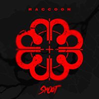 Raccoon - Shoot