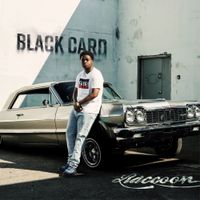 Raccoon - Black card