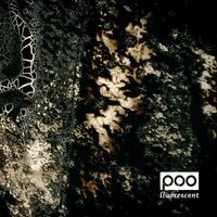 Poo - Fluorescent