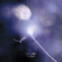 Sugar Plant - headlights