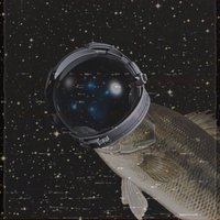 Extremely Sloppy Productions - SpaceBass