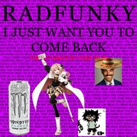 [unknown artist] - RADFUNKY
