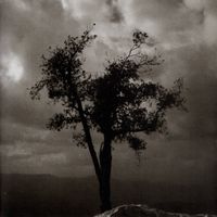 Alon Mor - “Non-Fiction”