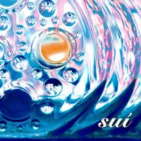 李竺芯 [Li Zhuxin] - Su&iacute; 水