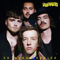 Shenanygans - On Monte Verita