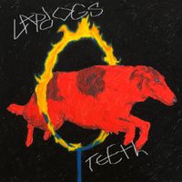 Lapdogs - Teeth