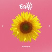 ablume - Echoes of Echo
