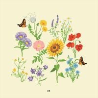 gnash - we