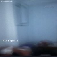 Serengeti - Mixtape 2