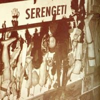 Serengeti - Be A Man / Cubes / Tom Dooley