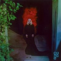 Unknown Mortal Orchestra - BOYS WITH THE CHARACTERISTICS OF WOLVES