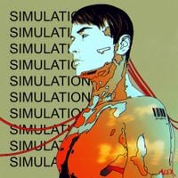 ALEX - Simulations