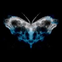 The Sound of Modesty - Metamorphosize