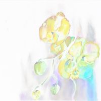 Why Bonnie - The Bedroom