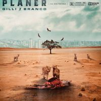 Gilli - Planer