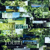 Shin Yun Su - Our Stupidity : Our Youth