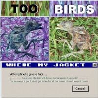 Too Birds - WHERE MY JACKET
