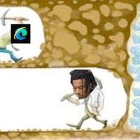 Explorers of the Internet - Carti In The Salt Mines