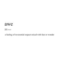 Treyhouse - Awe