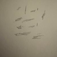 The 365 Project - 149: Nothing Special