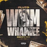 PLUTO - WHIM WHAMIEE (Remix)